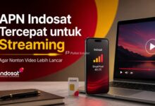 APN Indosat Tercepat untuk Streaming
