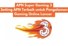 APN Super Gaming 3