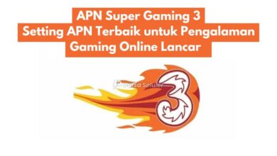 APN Super Gaming 3