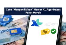 Cara “Mengondisikan” Nomor XL Agar Dapat Paket Murah