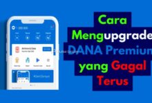 Cara Mengupgrade DANA Premium yang Gagal Terus