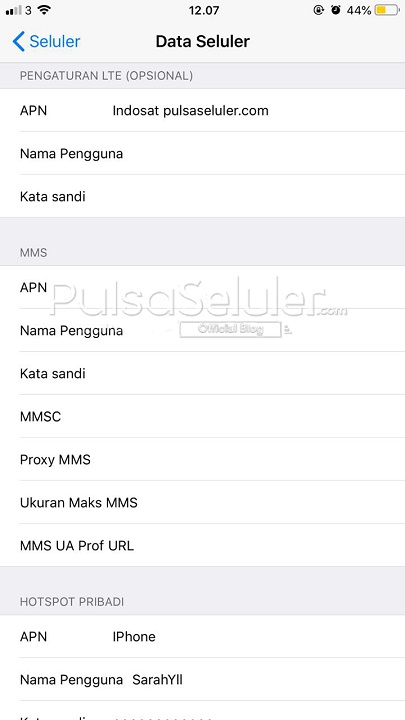 Cara Setting APN Indosat Ooredoo di iPhone 3