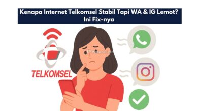 Kenapa Internet Telkomsel Stabil Tapi WA & IG Lemot