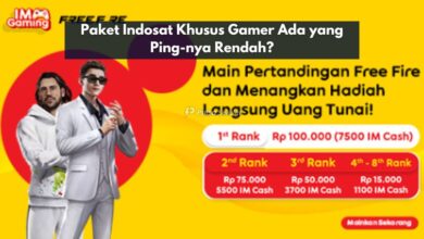Paket Indosat Khusus Gamer
