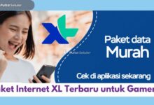 Paket Internet XL Terbaru untuk Gamers