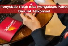 Penyebab Tidak Bisa Mengakses Paket Darurat Telkomsel