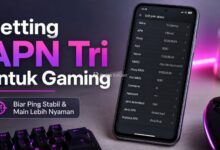 Setting APN Tri untuk Gaming